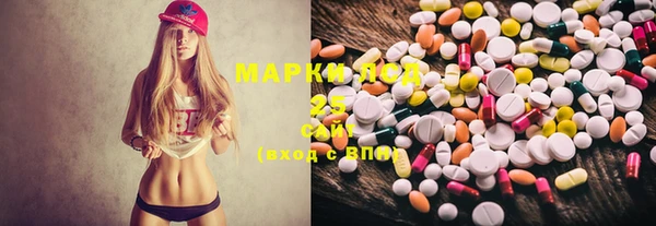 spice Алексин